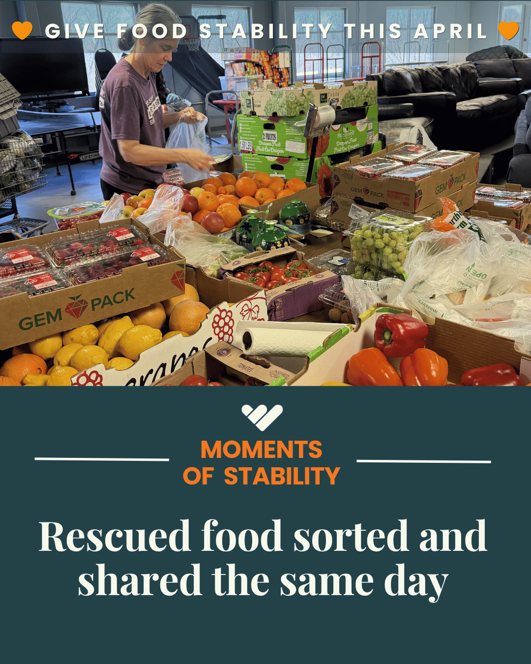 Rescued food sorted and shared the same day