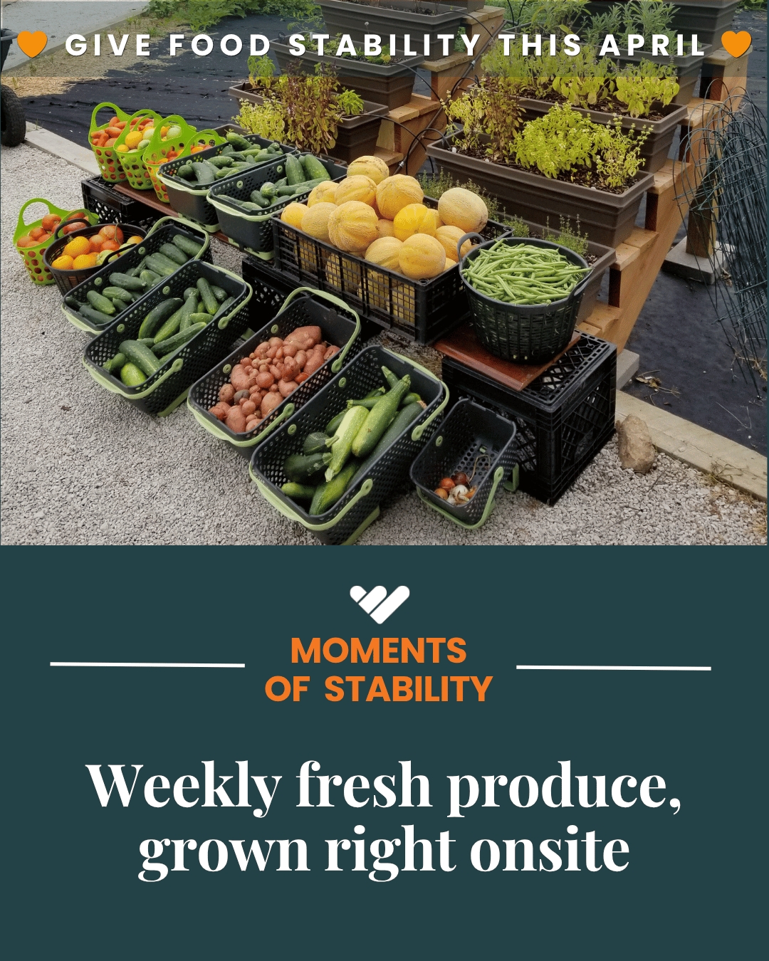 Weekly fresh produce, grown right onsite